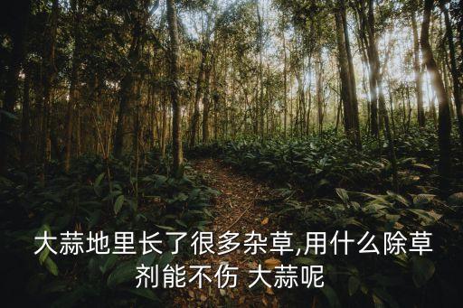 類似大蒜的農藥是什么成分,大蒜腸溶片是什么成分