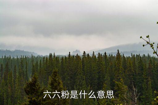 六六粉是什么意思