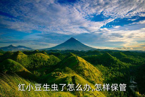 蠶豆大蟲子用什么農藥,蠶豆上的蟲子叫什么