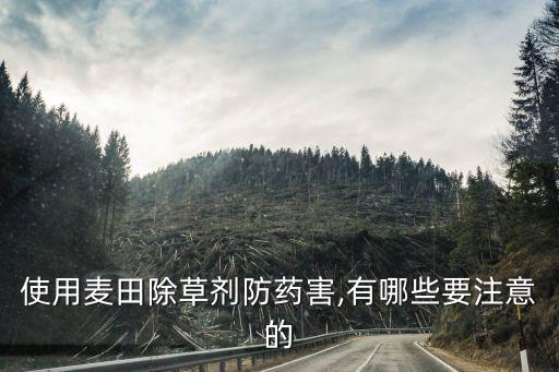 使用麥田除草劑防藥害,有哪些要注意的