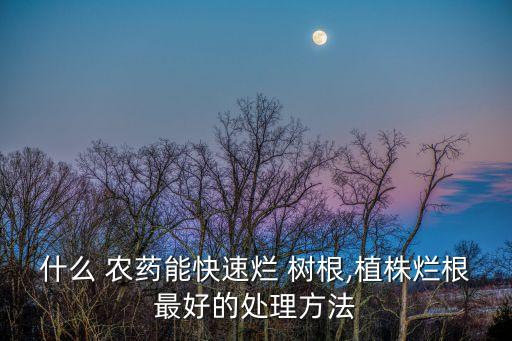 殺死樹根用什么農藥好,殺死大樹的最好最快的農藥