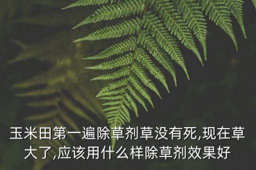 玉米地用什么農藥好,一畝玉米地需要多少農藥