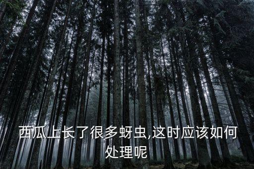 大田西瓜打什么農藥防蟲,西瓜一般打什么農藥