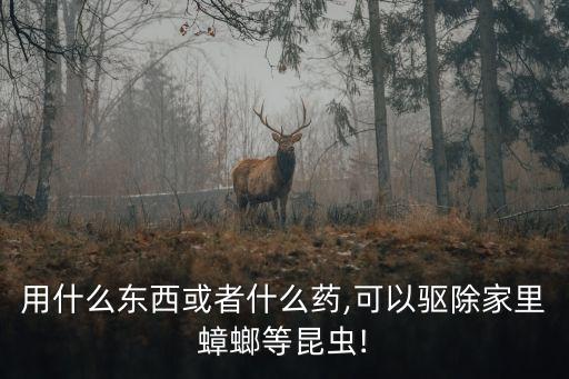 用什么東西或者什么藥,可以驅除家里蟑螂等昆蟲!