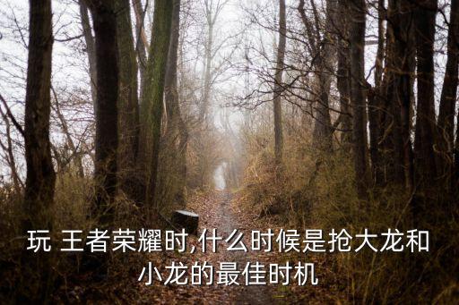 玩 王者榮耀時,什么時候是搶大龍和小龍的最佳時機