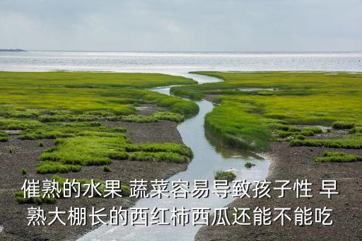 催熟的水果 蔬菜容易導(dǎo)致孩子性 早熟大棚長的西紅柿西瓜還能不能吃