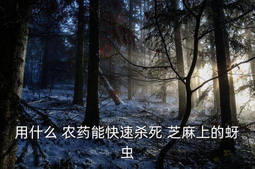 用什么 農藥能快速殺死 芝麻上的蚜蟲