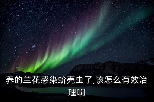 蘭草介殼蟲(chóng)用什么農(nóng)藥,介殼蟲(chóng)用什么農(nóng)藥最好