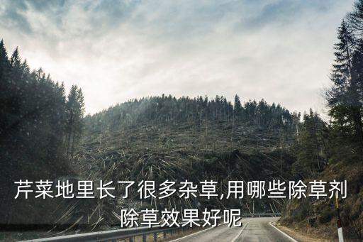 種菜地打草用什么農藥,種菜用什么農藥比較安全好