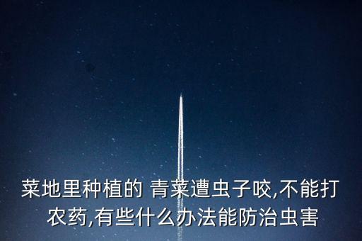青菜害蟲農藥用什么,青菜打什么農藥效果好