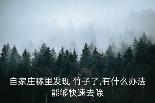 自家莊稼里發(fā)現(xiàn) 竹子了,有什么辦法能夠快速去除