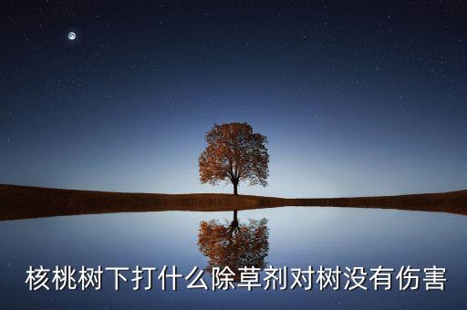 小核桃用什么農(nóng)藥,核桃保果用什么農(nóng)藥