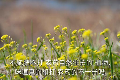 不施肥不打 農藥自然生長的 植物,味道真的和打 農藥的不一樣嗎