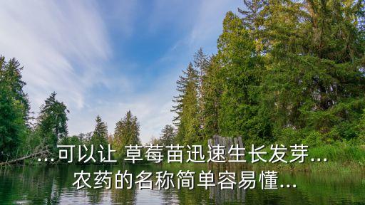 ...可以讓 草莓苗迅速生長發芽… 農藥的名稱簡單容易懂…