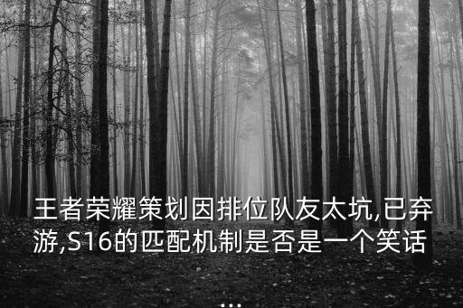 王者榮耀策劃因排位隊(duì)友太坑,已棄游,S16的匹配機(jī)制是否是一個(gè)笑話...