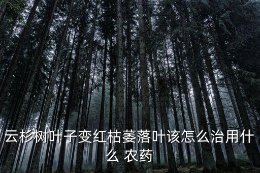 蒙力28是什么農藥,蒙力是什么意思?