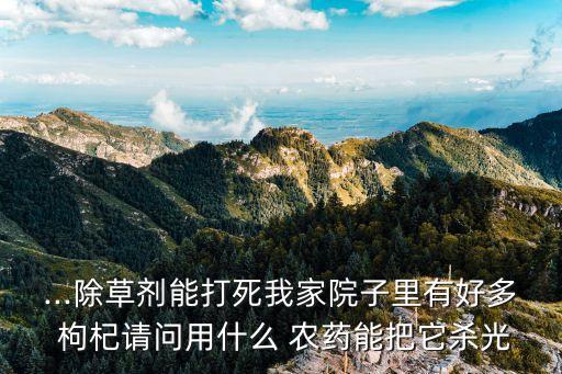 枸杞紅癭蚊什么農藥,五紅湯枸杞可以用什么代替