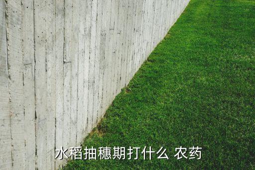 水稻抽穗期打什么 農(nóng)藥