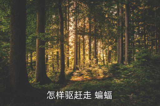 怎樣驅趕走 蝙蝠