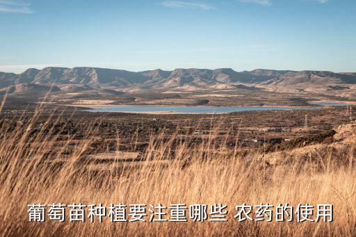 什么農藥含有葡萄催芽劑,葡萄催芽用什么藥