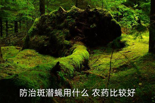 防治斑潛蠅用什么 農藥比較好