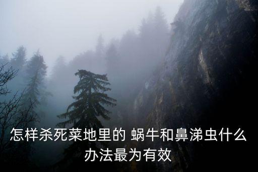 瓜地有蝸牛用什么農藥,什么農藥能殺死蝸牛