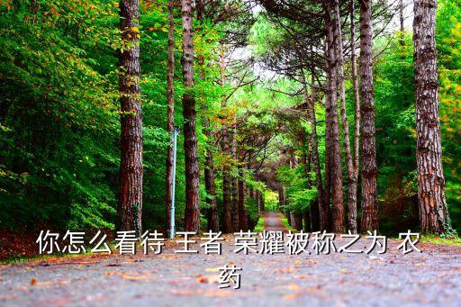 你怎么看待 王者 榮耀被稱之為 農藥