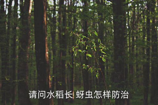 請(qǐng)問(wèn)水稻長(zhǎng) 蚜蟲怎樣防治