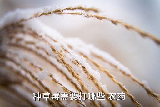 種草莓需要打哪些 農藥