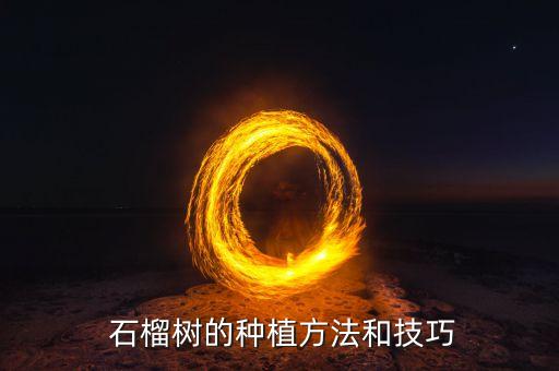 石榴清園適合什么農藥,廣東適合種什么品種石榴