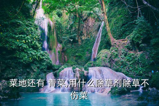 青菜用什么農藥長得快,青菜打什么農藥效果好