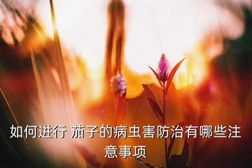什么農(nóng)藥對(duì)茄子有害最大,茄子不能用什么農(nóng)藥