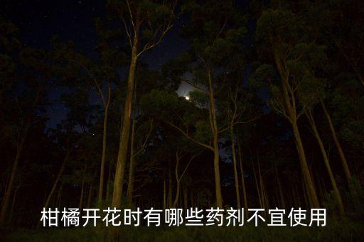  柑橘開花時有哪些藥劑不宜使用