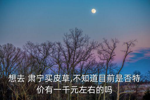 想去 肅寧買皮草,不知道目前是否特價有一千元左右的嗎