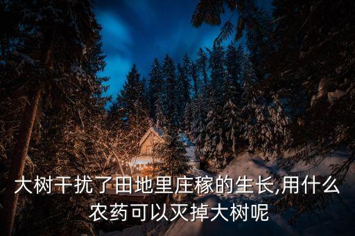 什么農藥能打死各種樹果,艾草用什么農藥打死