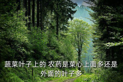 蔬菜葉子上的 農藥是菜心上面多還是外面的葉子多