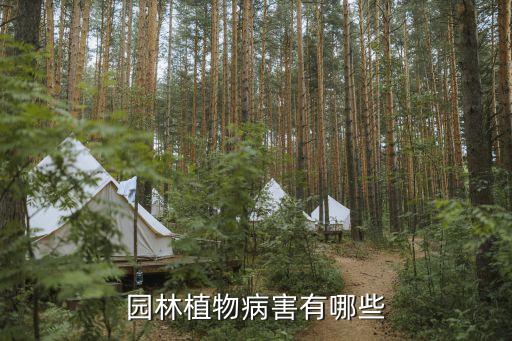園林植物病害有哪些