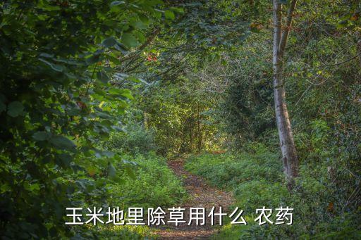 農場農藥用什么藥最好,什么農藥藥鳥效果最好