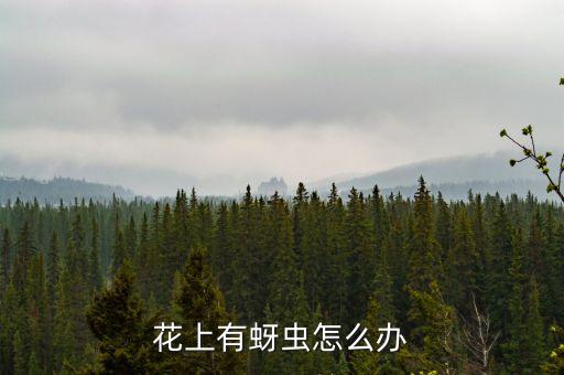 花上面長膩蟲用什么農藥,花上長膩蟲怎么辦用什么藥