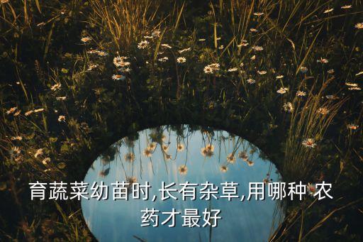 野草灰菜用什么農藥,打灰菜用什么農藥