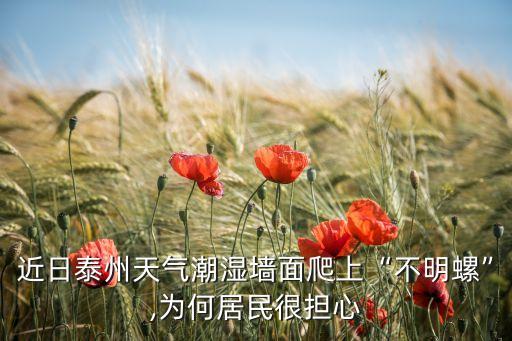 煙管螺用什么農藥,農藥出現問題,什么部門管?