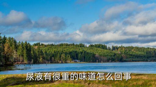 為什么尿液有農(nóng)藥的味,尿液為什么會有騷味