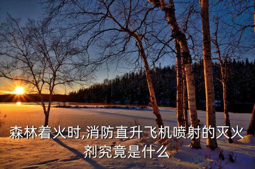 用直升機噴農藥叫什么名字