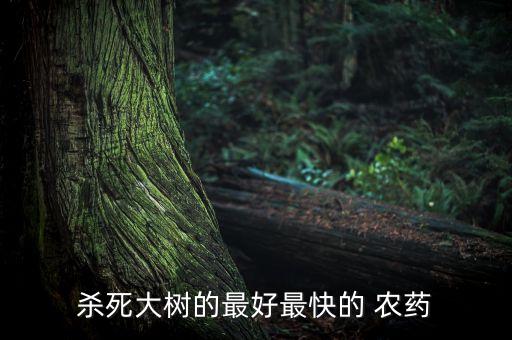殺死大樹的最好最快的 農藥