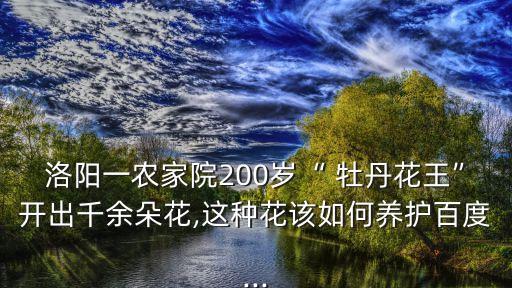 黃春牡丹種植什么農藥