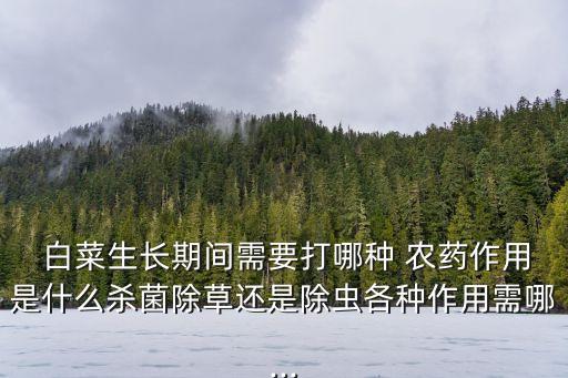 白菜防蛆噴什么農(nóng)藥,白菜噴醋什么時間最好