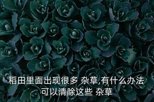 水生雜草用什么農(nóng)藥,什么農(nóng)藥能除一切雜草