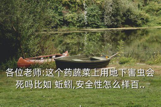 各位老師:這個(gè)藥蔬菜上用地下害蟲會(huì)死嗎比如 蚯蚓,安全性怎么樣百...