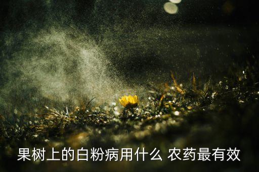 果樹上的白粉病用什么 農藥最有效