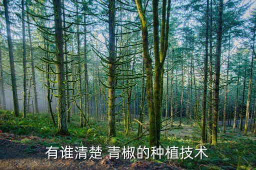 青椒爛葉用什么農藥,青椒打什么農藥產量多呢